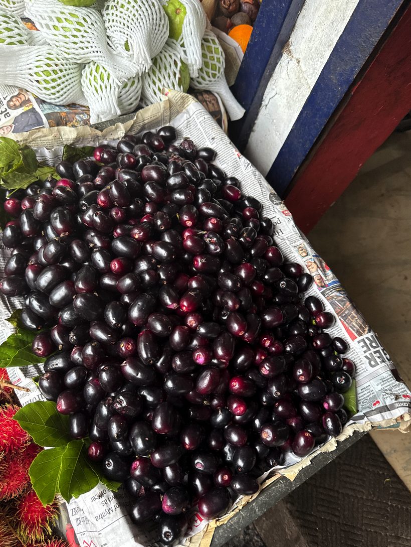 A pile of dark purple jambal fruit on newspaper at a Kerala fruit stall