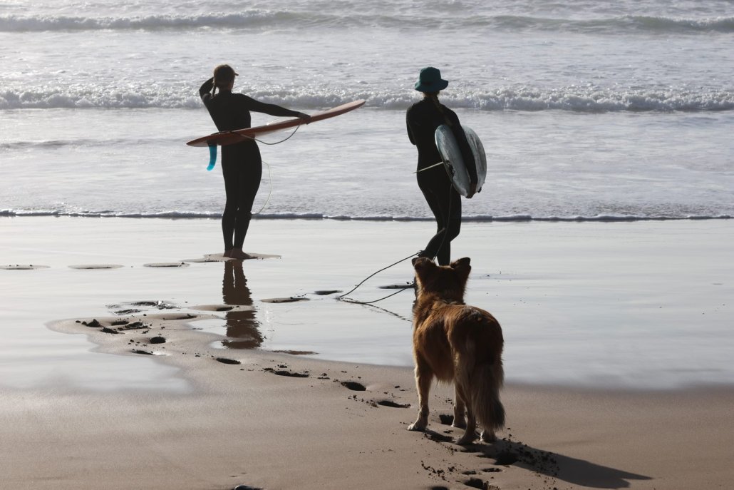 Two surfers and Wingo the dog walking into the sea in Morocco