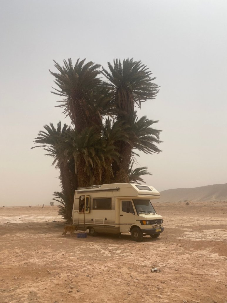 The old Mercedes camper parked under a palm tree in the Moroccan desert